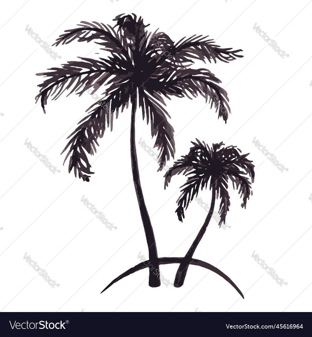 Monochrome two tropical palm tree sea ocean beach Vector Image