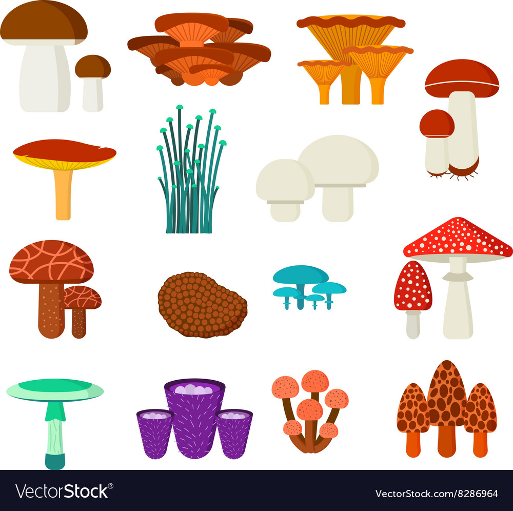 Mushrooms set different types