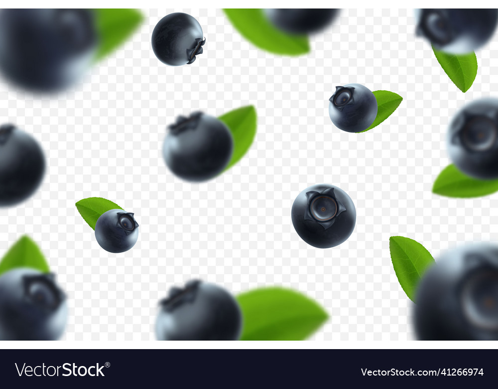 Blueberry background fresh berry with green