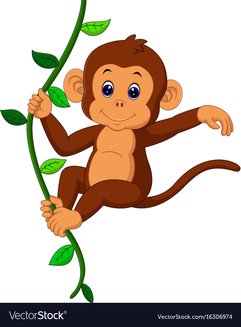 Cute Monkey 