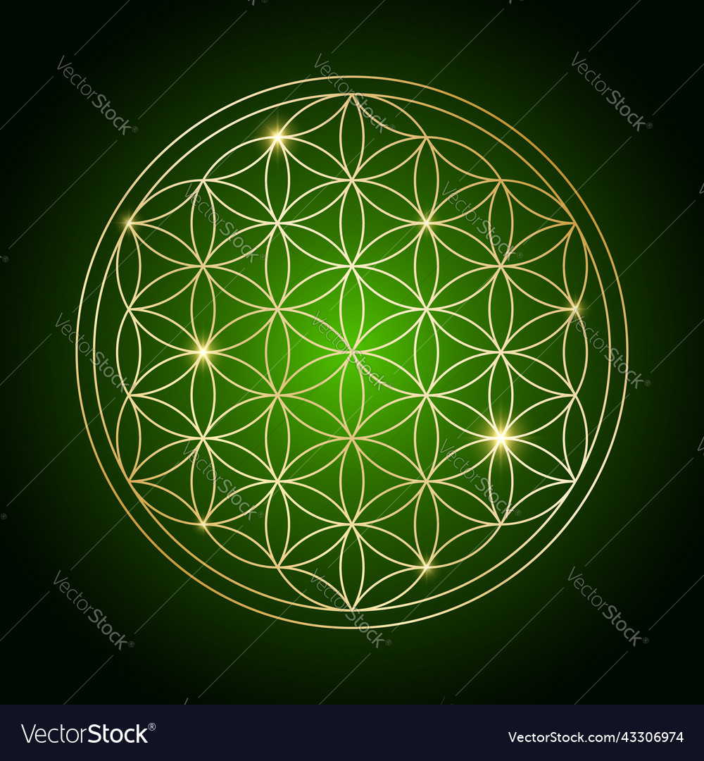 Esoteric flower of life symbol Royalty Free Vector Image