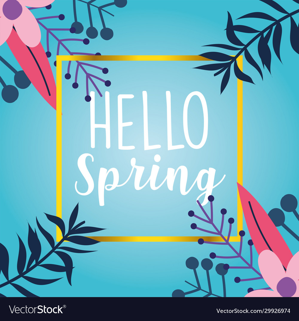 Hello spring flowers branches foliage nature Vector Image