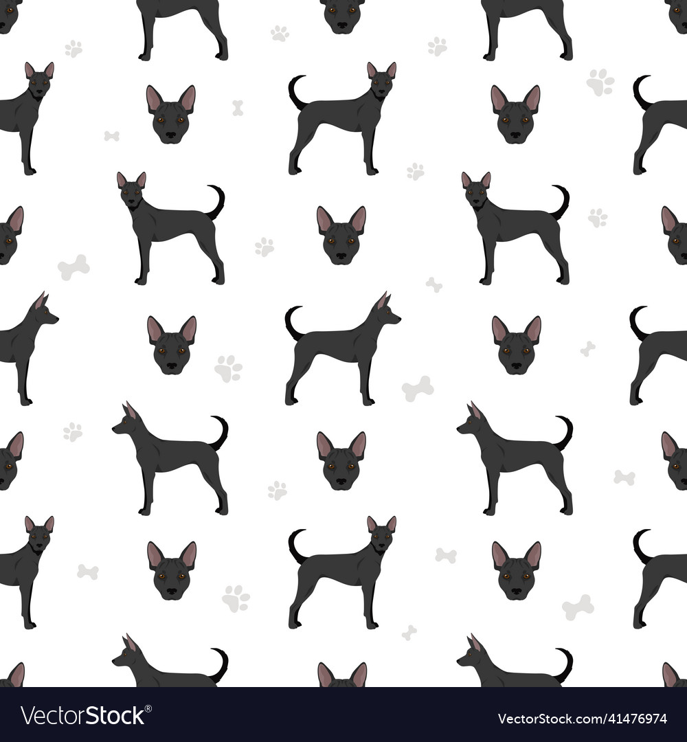 Taiwan dog seamless pattern different poses coat