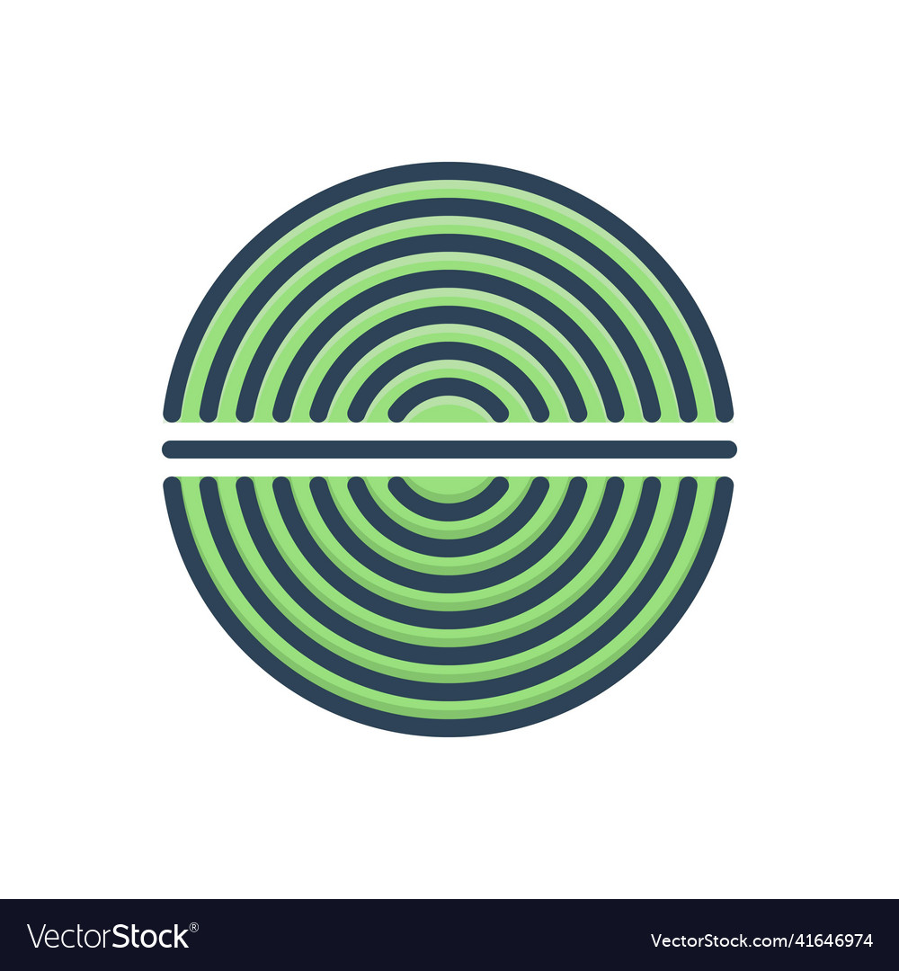 What Are Vector Graphics Typically Used For