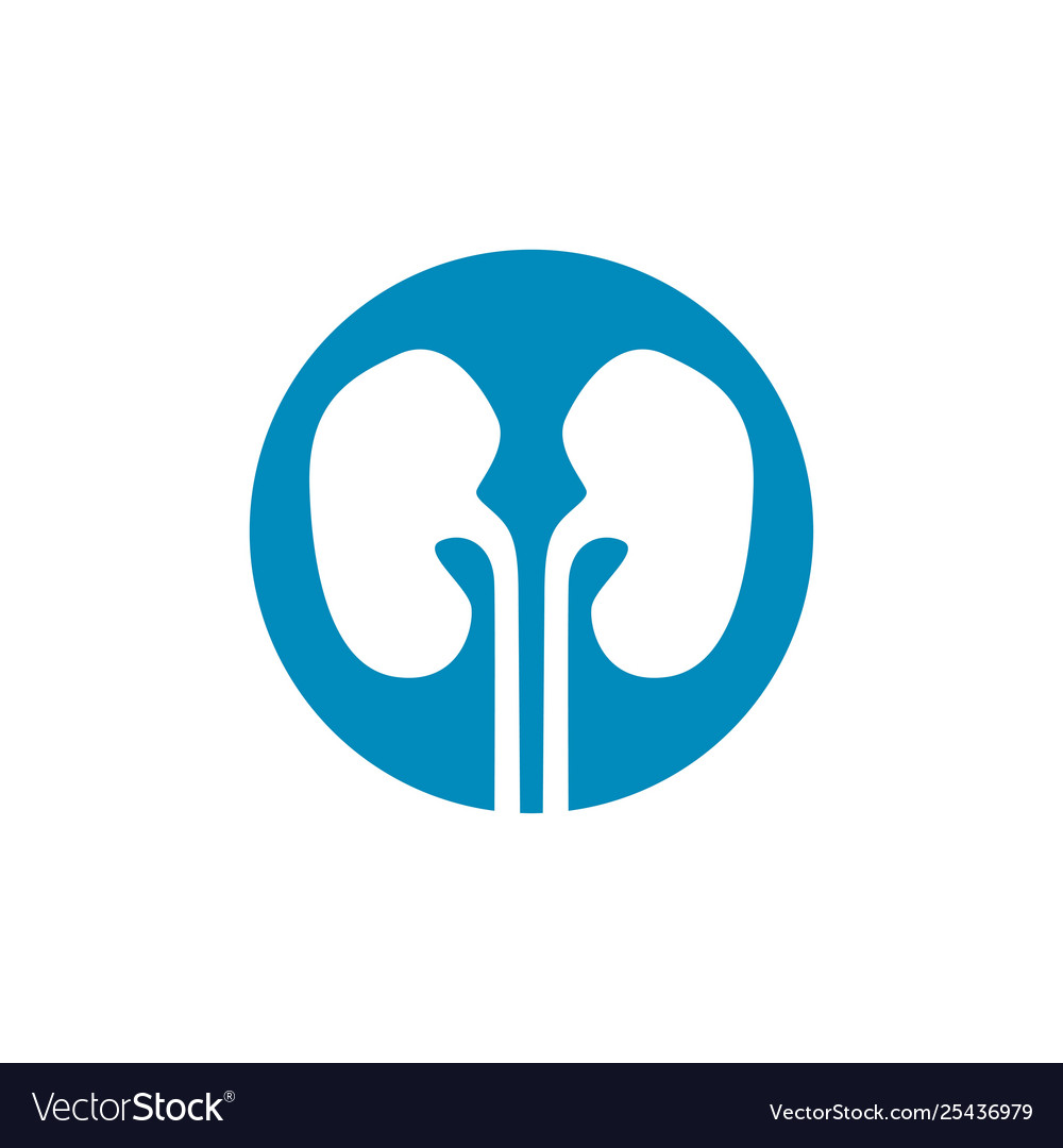 Human kidneys icon