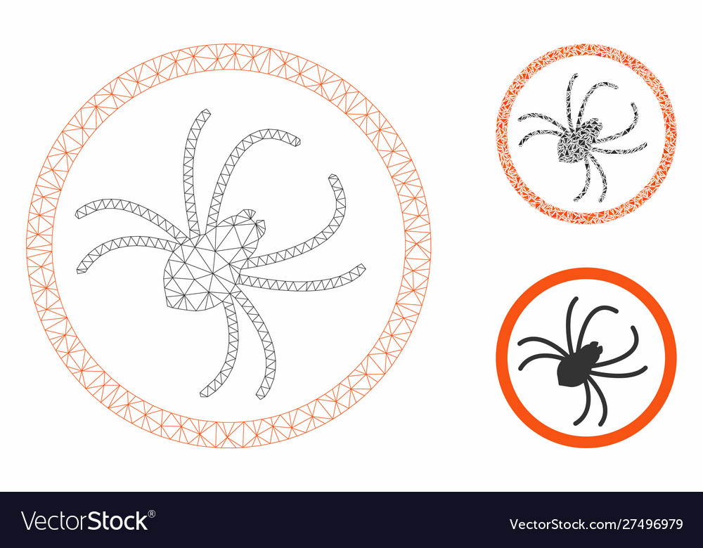 Spider mesh network model and triangle vector image Spider mesh network model and triangle