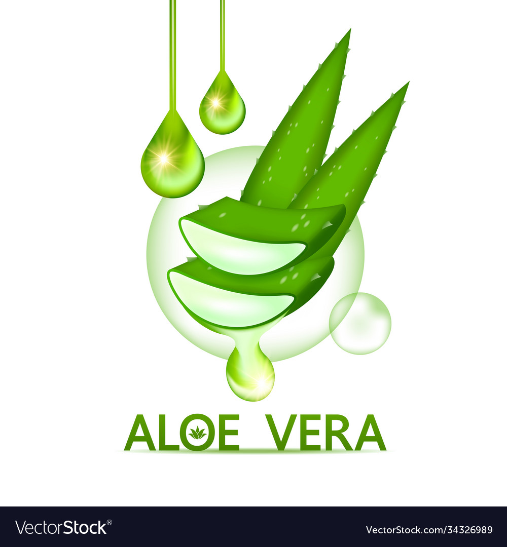 Aloe vera collagen and serum Royalty Free Vector Image