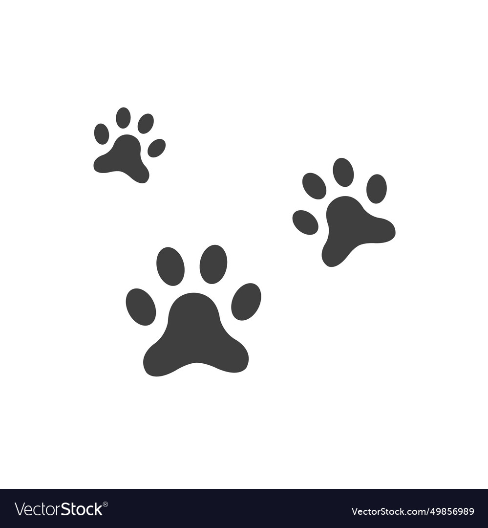 animal-foot-royalty-free-vector-image-vectorstock