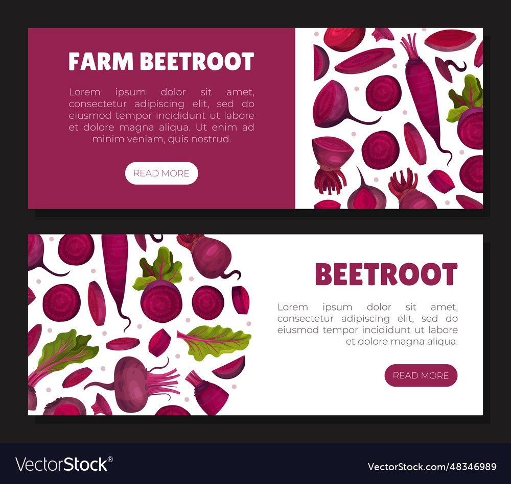 Beetroot vegetable crop banner design Royalty Free Vector