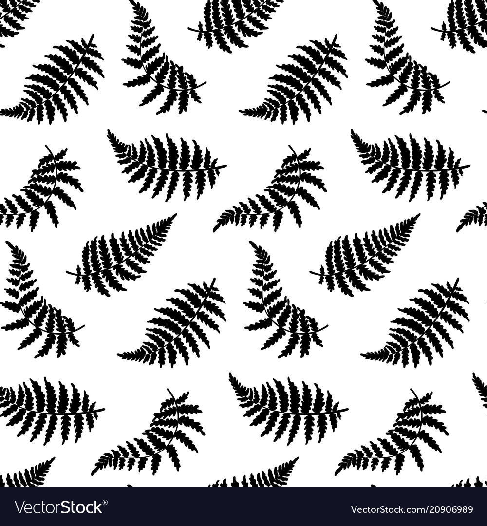 Pattern of fern leaf Royalty Free Vector Image