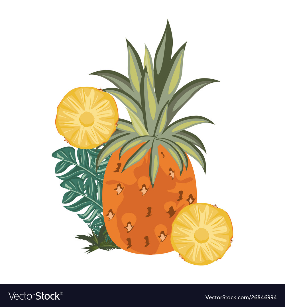 Delicious fresh citrus pineapple cartoon Vector Image