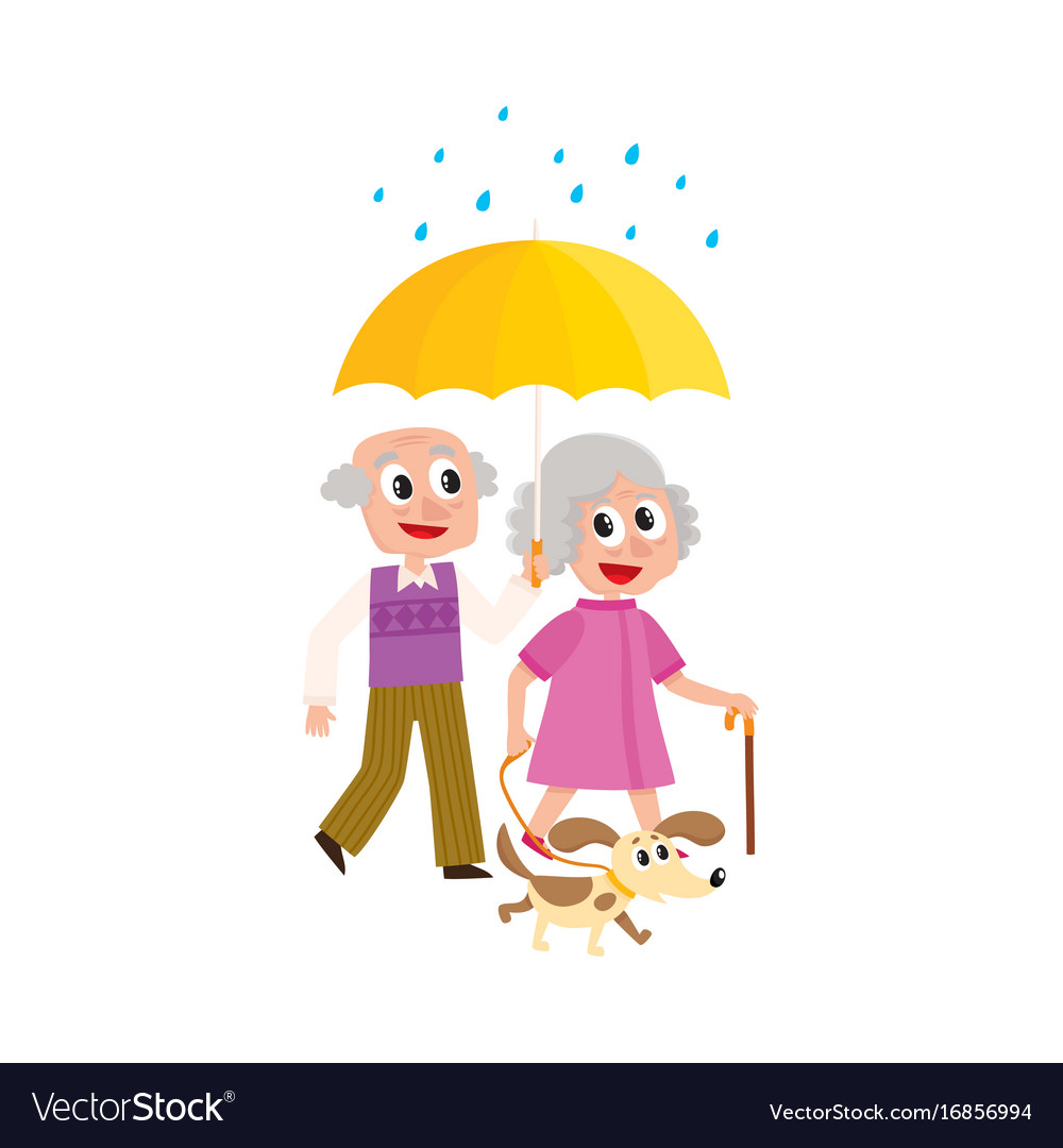 Grey-haired couple walks keeping umbrella