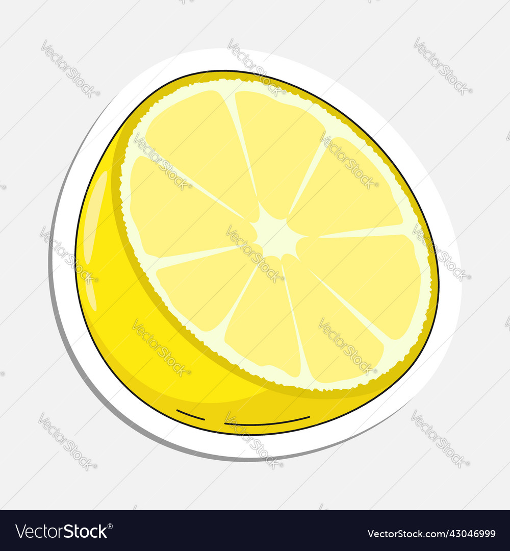 Lemon slices in doodle style with chopped Vector Image