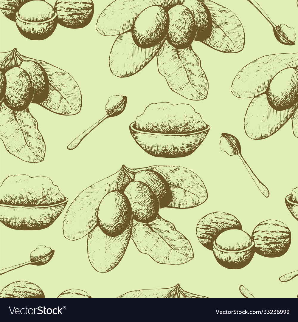Seamless pattern with shea nuts and butter