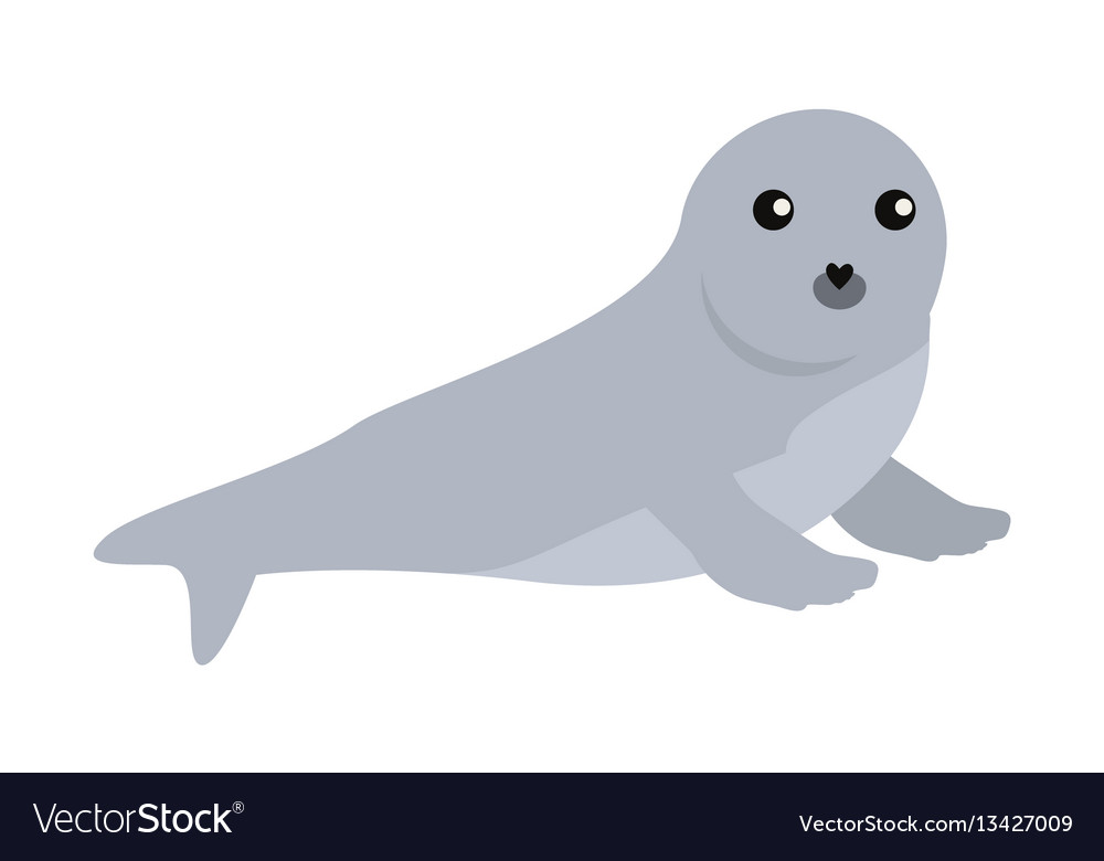 Earless seal in flat design Royalty Free Vector Image Earless seal in flat design Royalty Free Vector Image