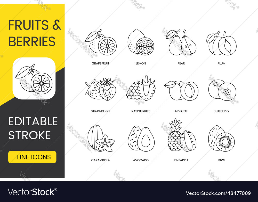 Fruits and berries whole sliced line