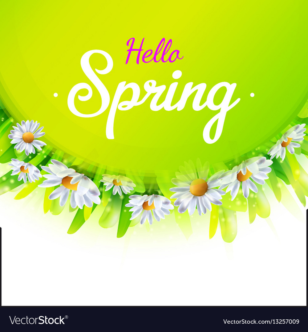 Hello spring background