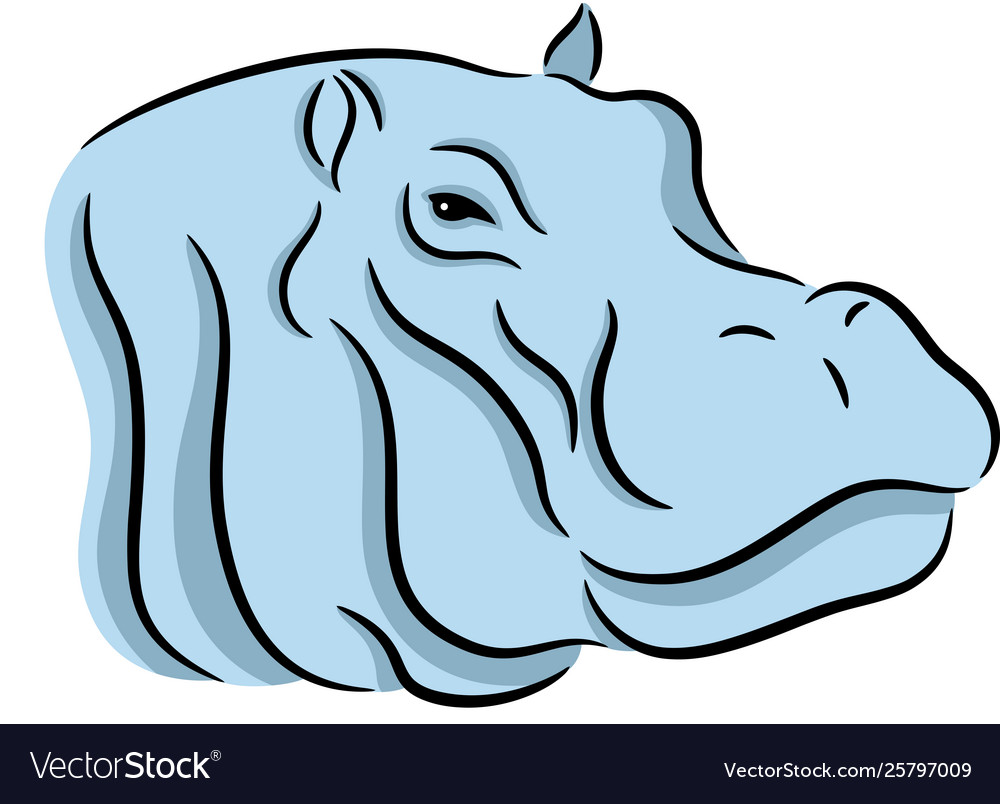 Hippopotamus