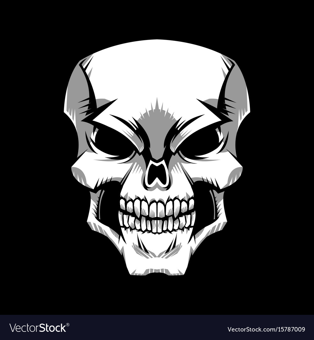 Skull graphic Royalty Free Vector Image - VectorStock