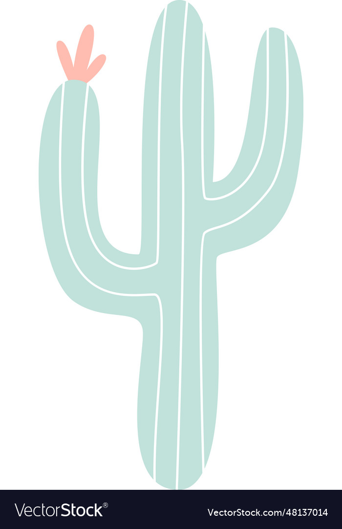 Cactus desert plant Royalty Free Vector Image - VectorStock