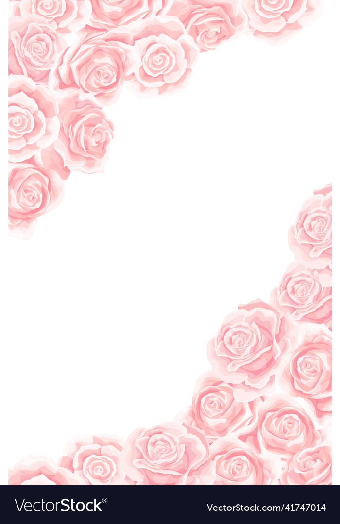 Frame of pink blossom rose flowers for greeting