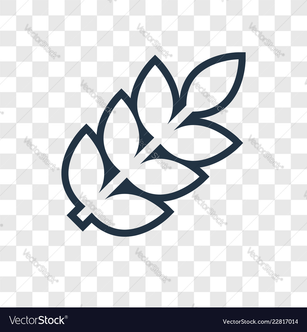 Wheat concept linear icon isolated on transparent vector image Wheat concept linear icon isolated on transparent