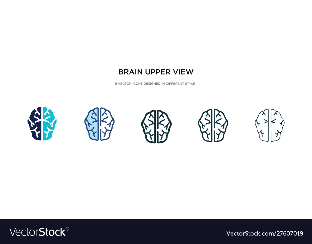 Brain upper view icon in different style two