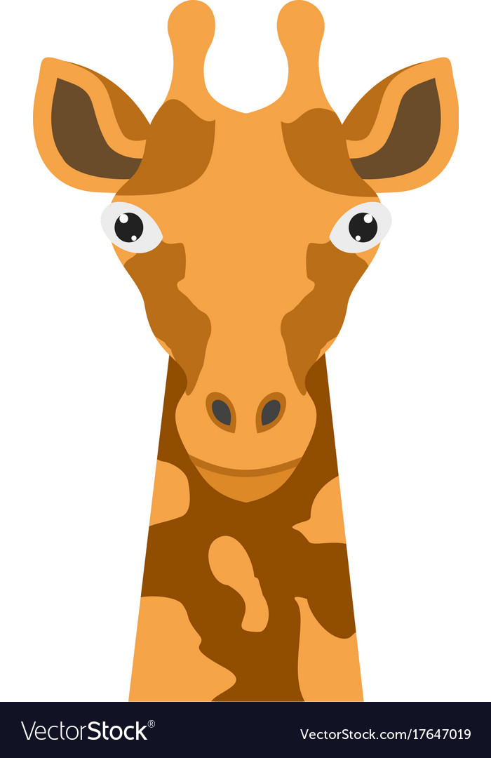 Giraffe Head Giraffe Cartoon Face