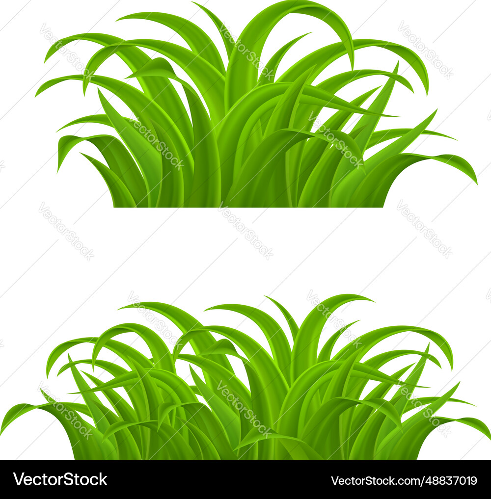 Green grass Royalty Free Vector Image - VectorStock