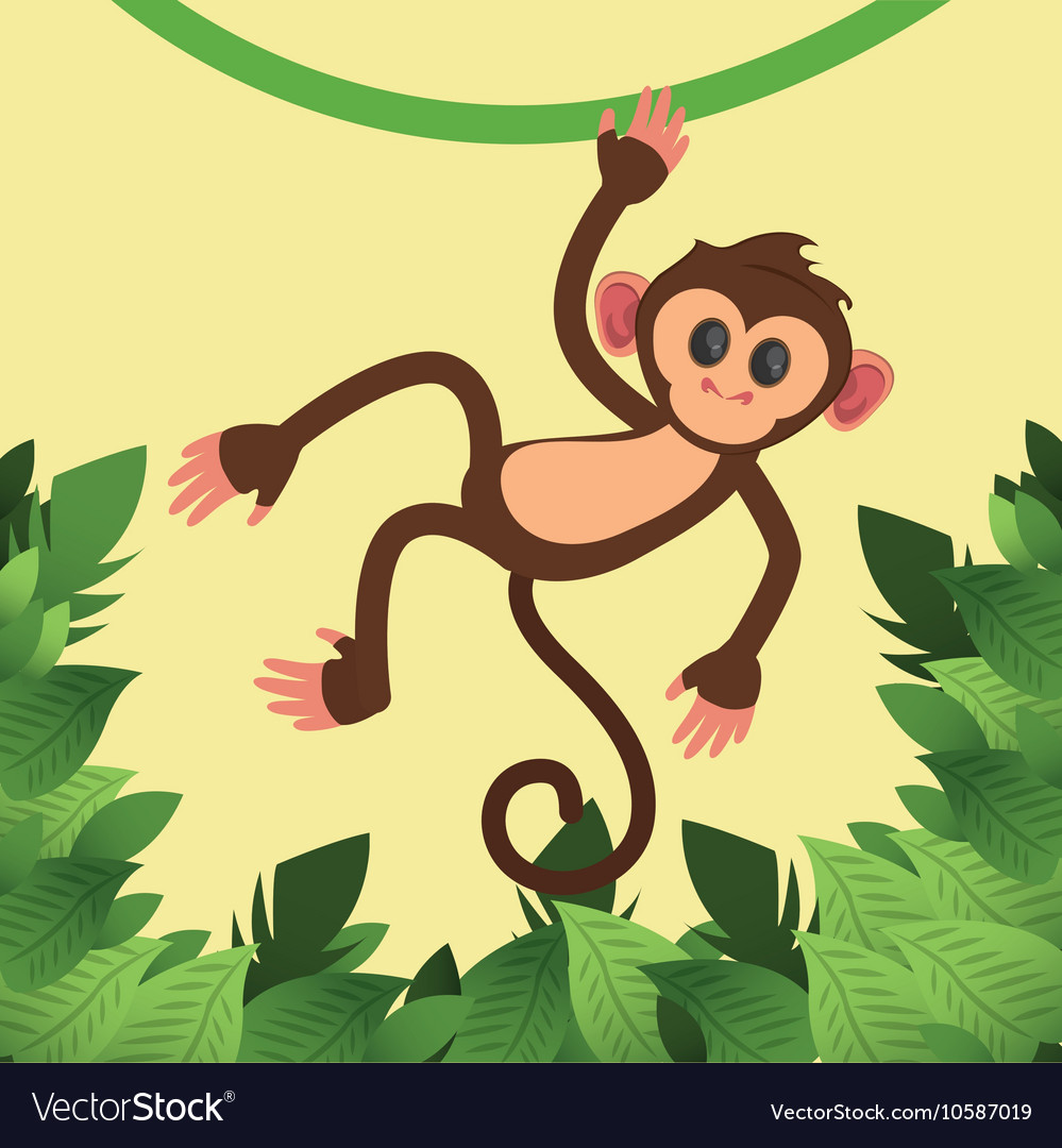 rainforest monkey clipart