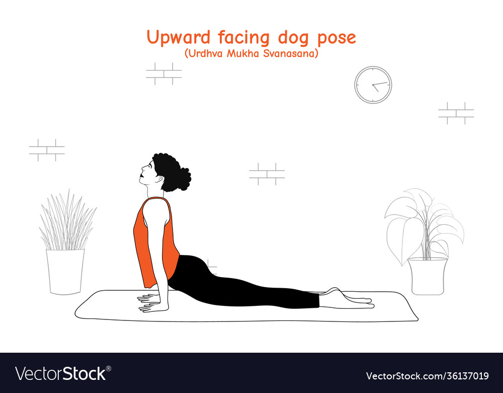 Woman doing yoga asana upward facing dog pose or u