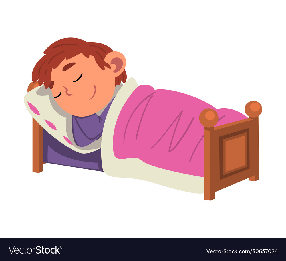 Cute boy sleeping in his bed preschool kid daily Vector Image