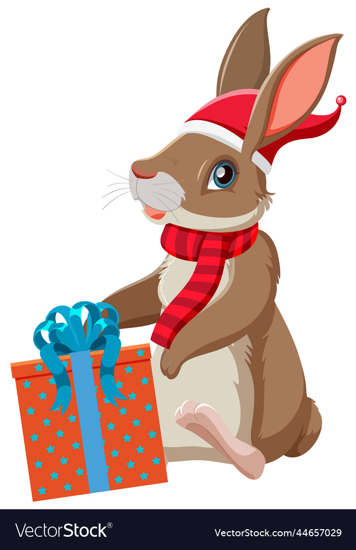 A rabbit with gift box
