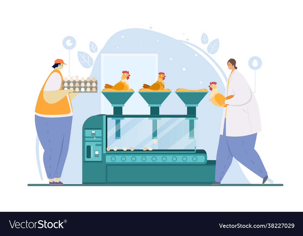Automated Egg Production Line