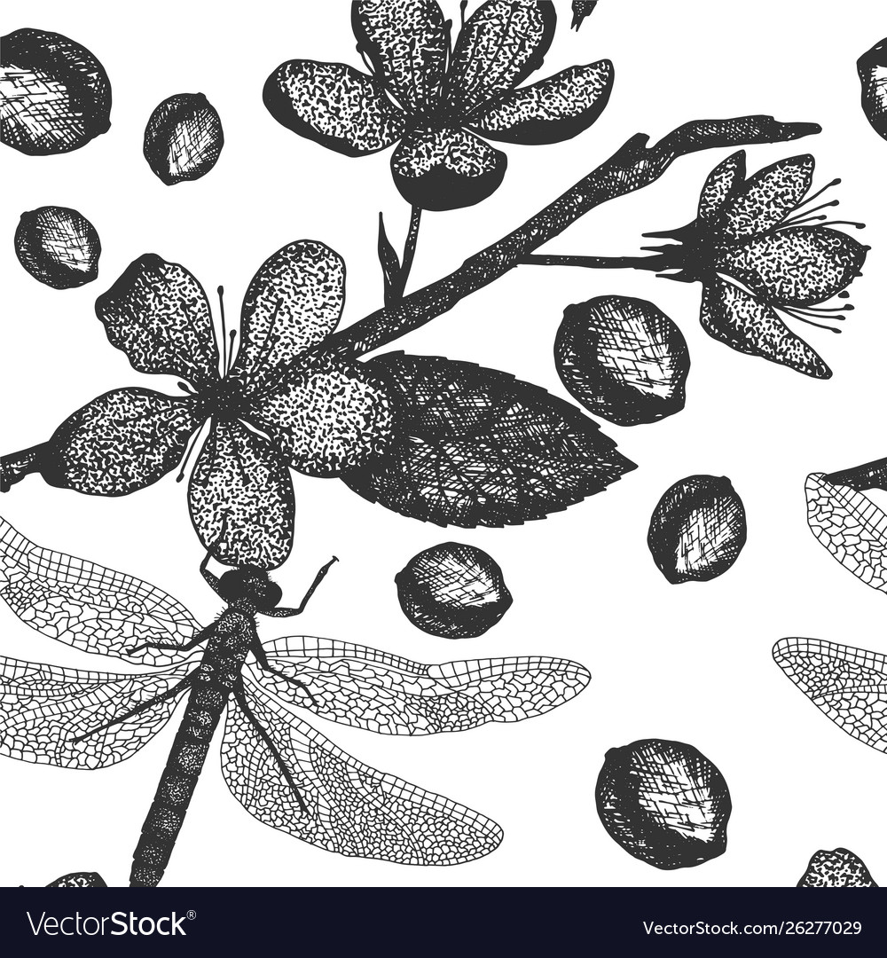 Dragonfly seamless pattern with cherry flower vector image Dragonfly seamless pattern with cherry flower
