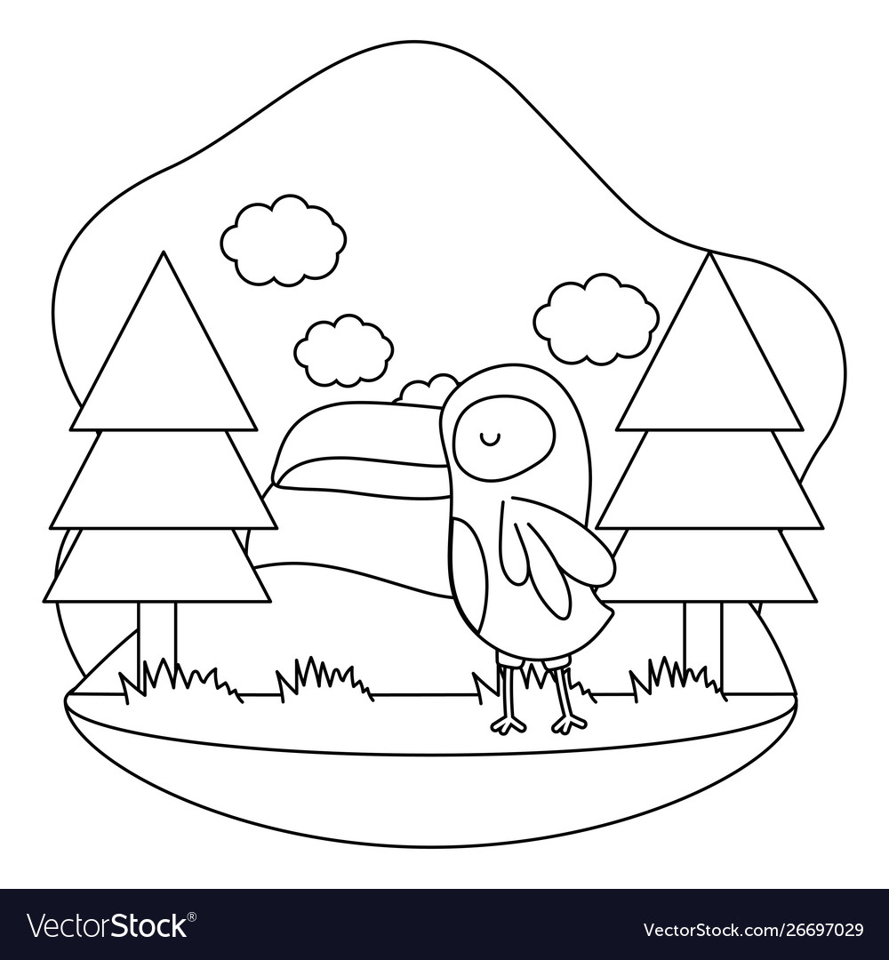 Isolated toucan cartoon design