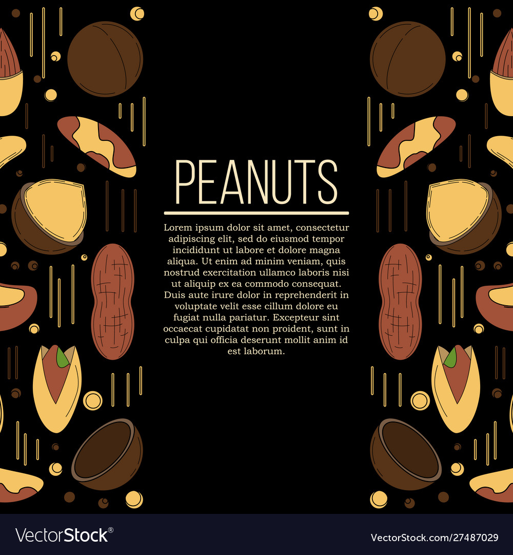 Nuts card concept for design