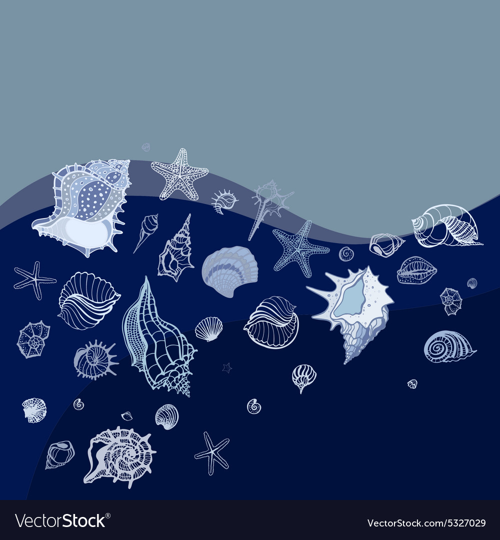 Sea Shell Pattern