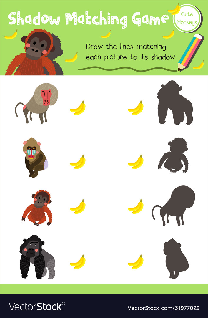 Shadow matching game monkey animal