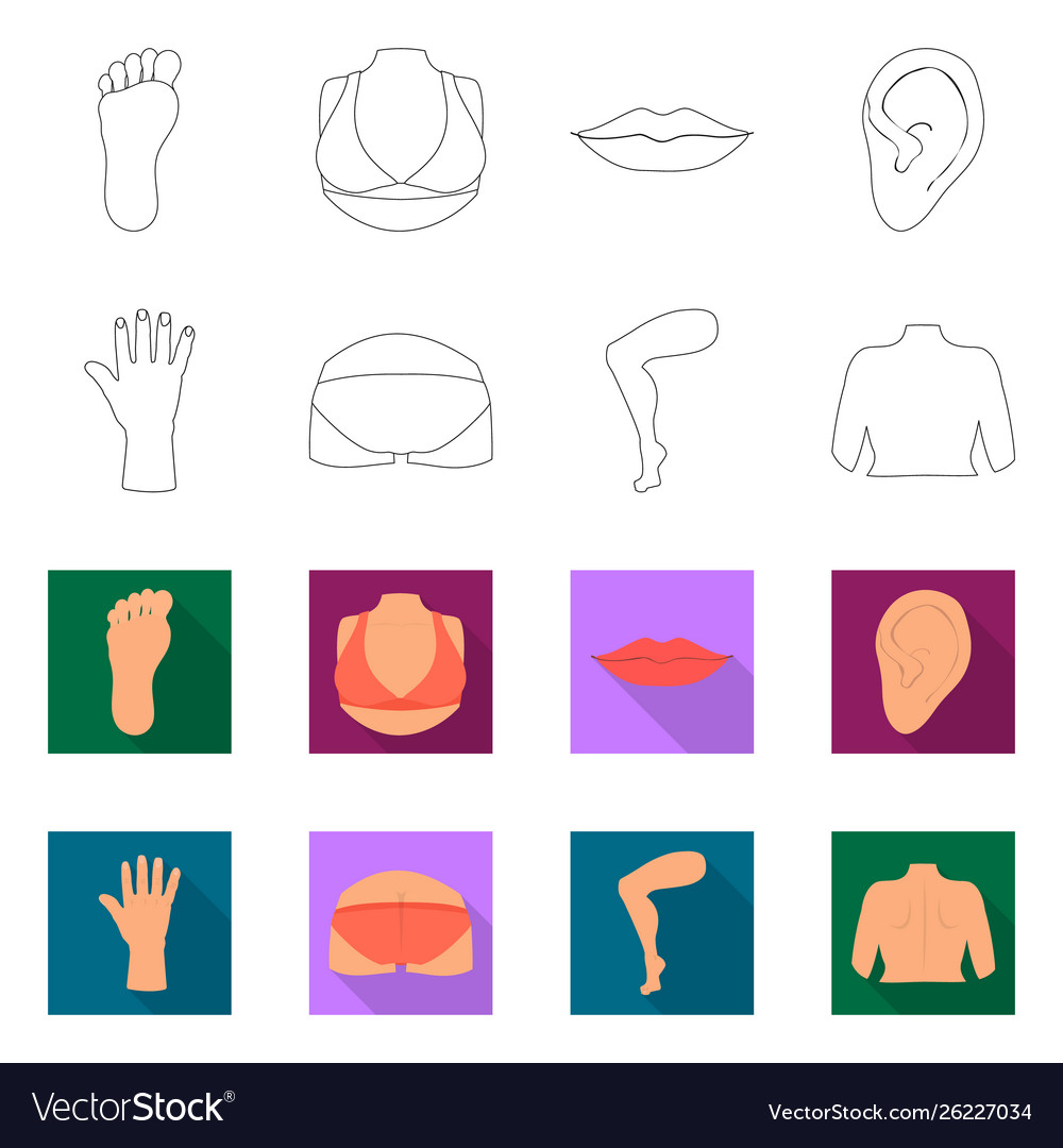 Design body and part icon set vector image Design body and part icon set