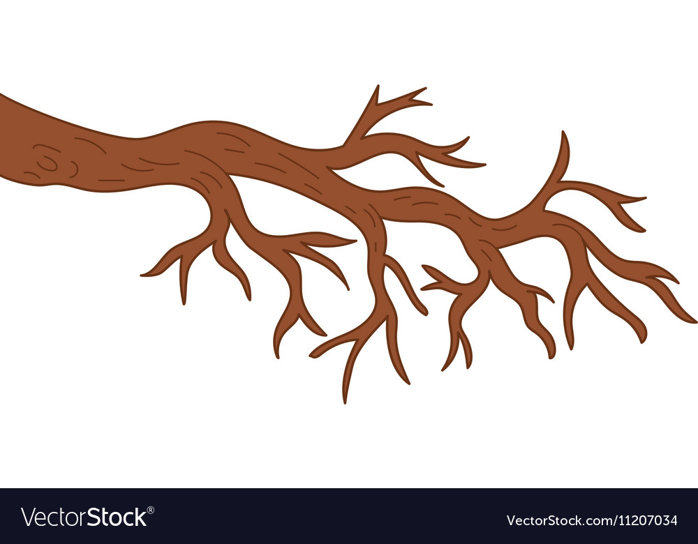 Tree branch