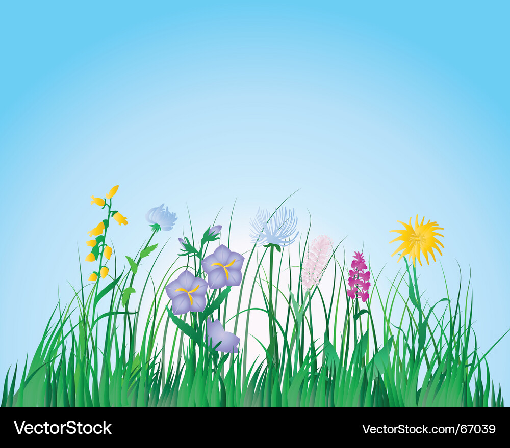Grass Royalty Free Vector Image - VectorStock
