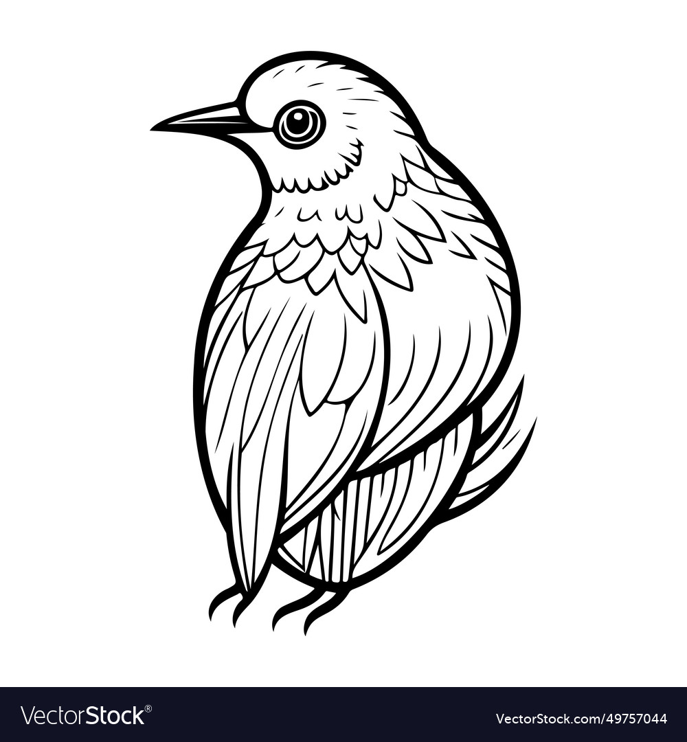 Doodle Birds Sketch Hand Draw Royalty Free Vector Image