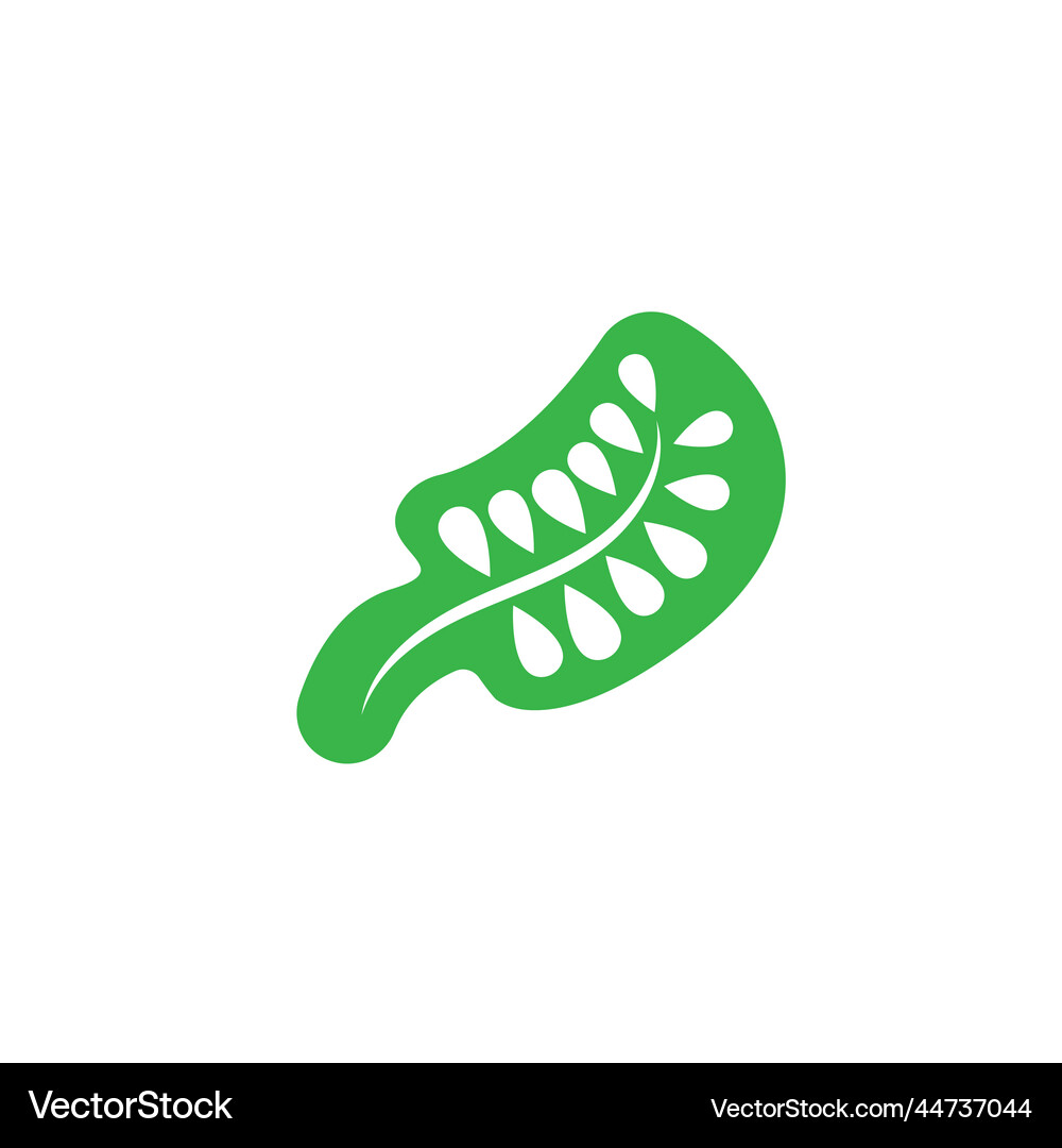 Moringa leaf icon design template Royalty Free Vector Image