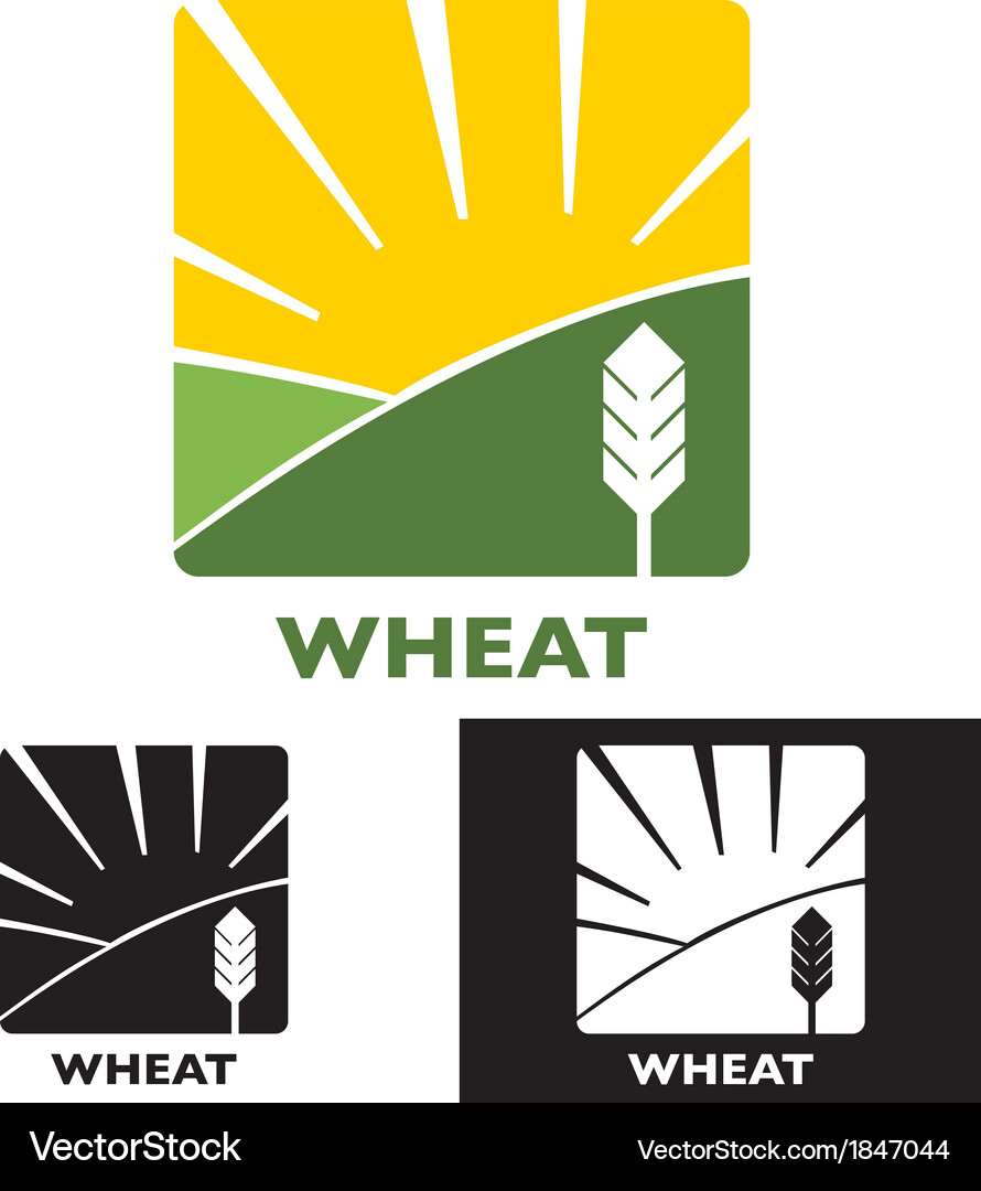 Wheat Royalty Free Vector Image - VectorStock