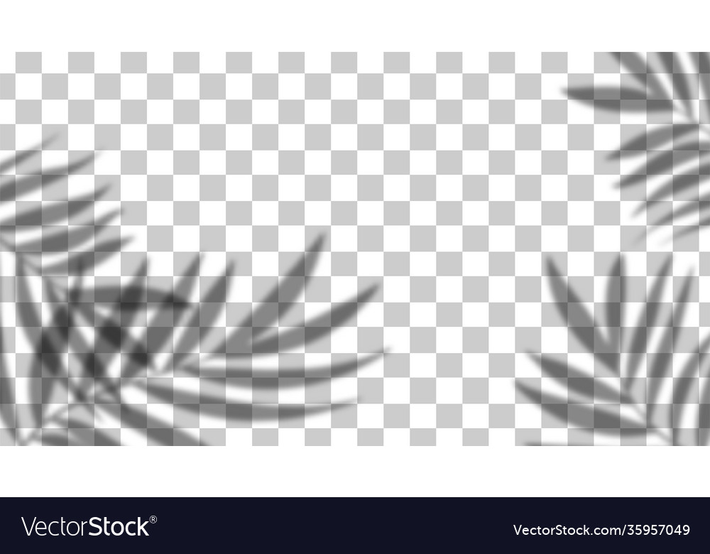 Shadow overlay effect transparent soft light vector image Shadow overlay effect transparent soft light