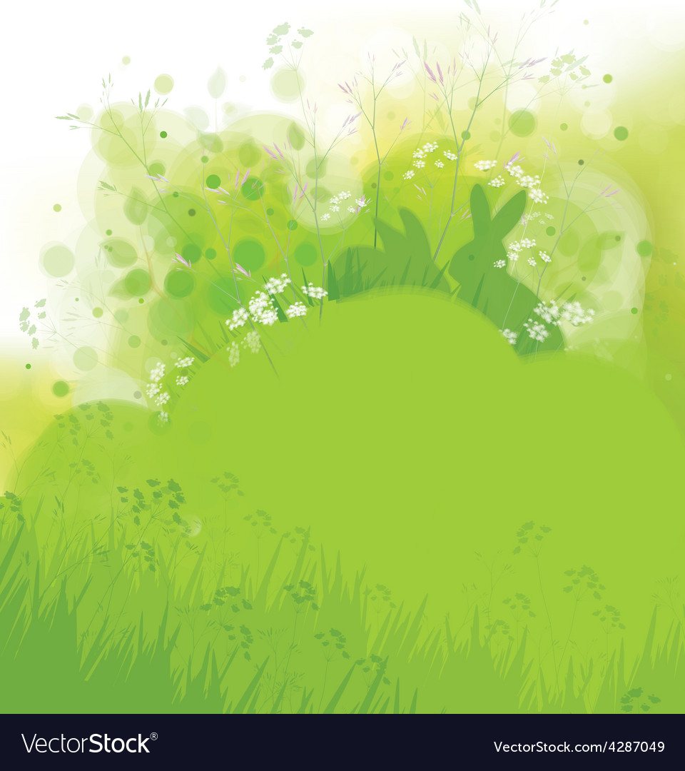 Spring Rabbits in Grass