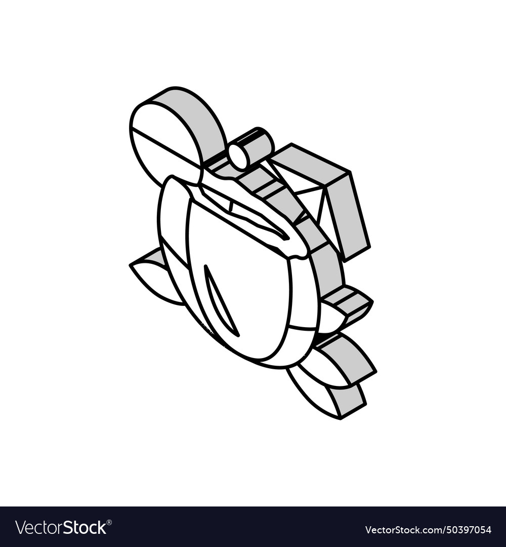 Cocktail coconut coco isometric icon