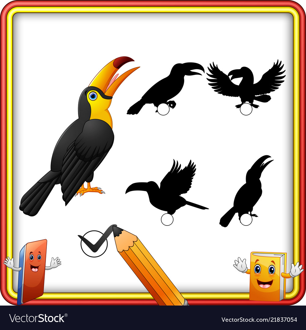 Find the correct shadow funny toucan bird educati