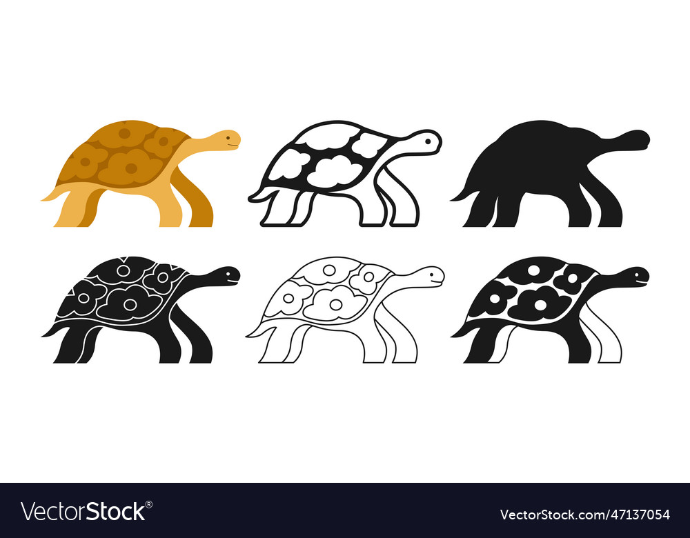 Tortoise wild reptile cartoon style set tropical Vector Image